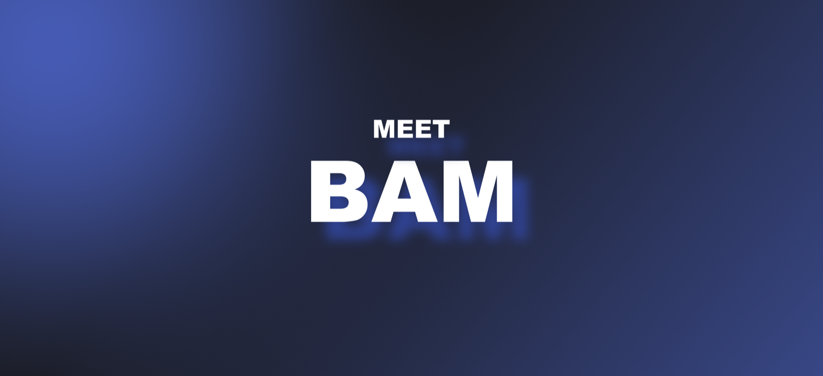 Introducing BAM: the first-ever Business Agentic Manager for the Short-Term Rental industry 💥